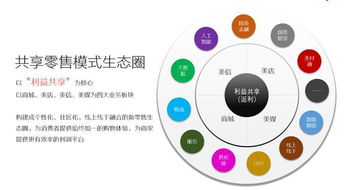 聚焦家生活 国美双11的最大不同在于重塑互联网销售体验